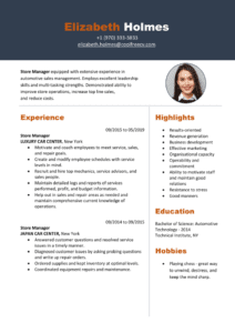 Professional Resume sample format