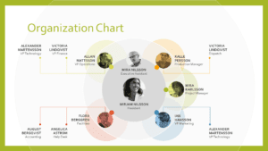 Org Chart sample designs Free Download template