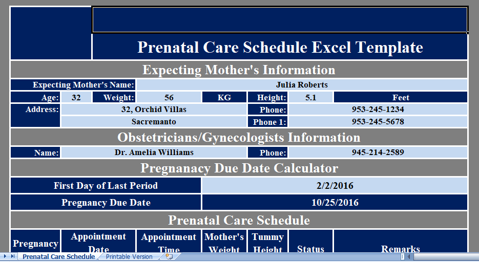 Prenatal Care Schedule Excel Templates