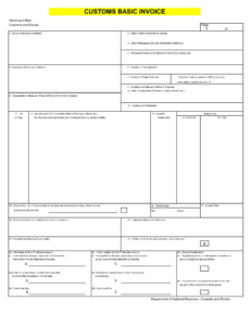 Customs Basic Invoice Template in Excel | Download Now For Free